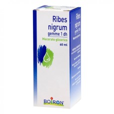 BO.RIBES NIGRUM 15CH GR