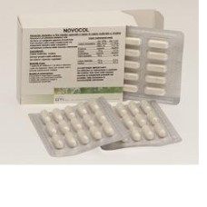 OT.NOVOCOL 60CPS 500MG