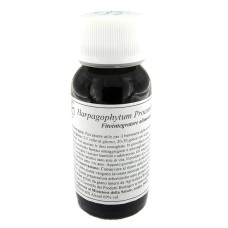 08N HARPAGOPHYTUM PROC COMP 60