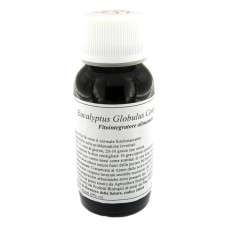56S EUCALYPTUS GLOBULUS COMP