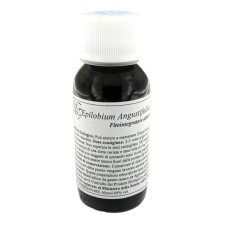 82C EPILOBIUM ANGUSTIF COMP 60