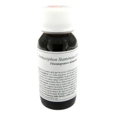 LVS 65S ORTHOSIPHON STAMI COMP